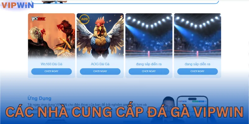 Các nhà cung cấp tại đá gà VIPWIN